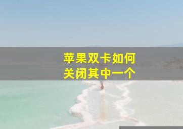 苹果双卡如何关闭其中一个