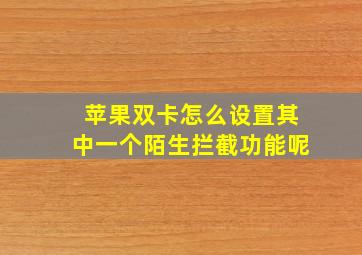 苹果双卡怎么设置其中一个陌生拦截功能呢