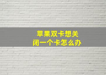 苹果双卡想关闭一个卡怎么办