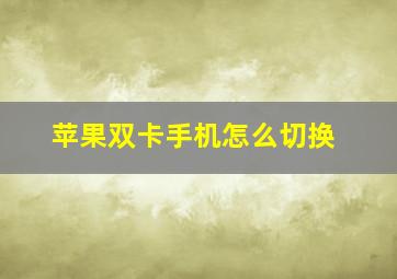 苹果双卡手机怎么切换