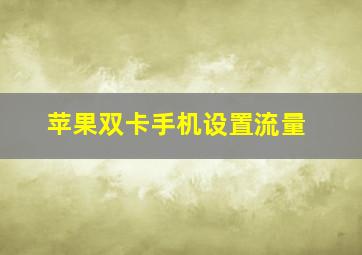 苹果双卡手机设置流量