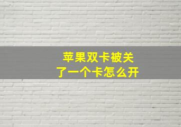 苹果双卡被关了一个卡怎么开