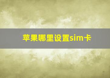 苹果哪里设置sim卡