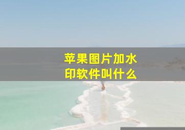 苹果图片加水印软件叫什么