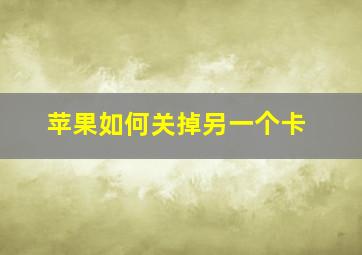 苹果如何关掉另一个卡