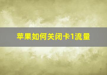 苹果如何关闭卡1流量