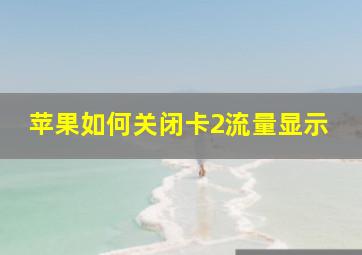 苹果如何关闭卡2流量显示