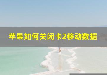 苹果如何关闭卡2移动数据