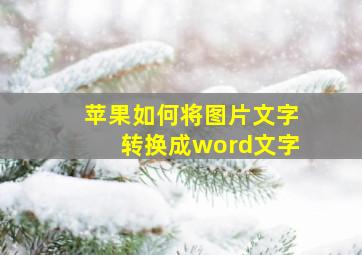 苹果如何将图片文字转换成word文字