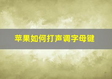 苹果如何打声调字母键