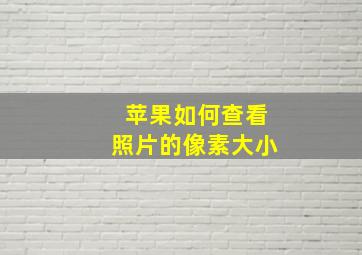 苹果如何查看照片的像素大小