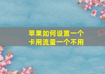 苹果如何设置一个卡用流量一个不用