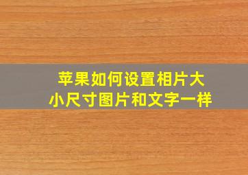 苹果如何设置相片大小尺寸图片和文字一样