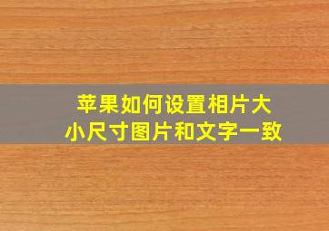 苹果如何设置相片大小尺寸图片和文字一致