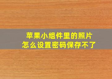 苹果小组件里的照片怎么设置密码保存不了