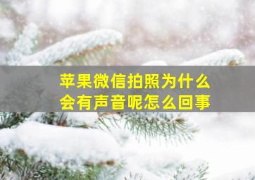 苹果微信拍照为什么会有声音呢怎么回事