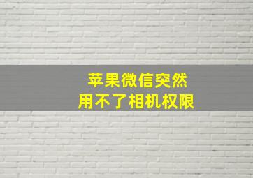 苹果微信突然用不了相机权限