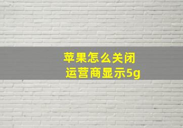 苹果怎么关闭运营商显示5g