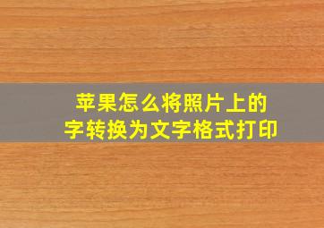 苹果怎么将照片上的字转换为文字格式打印