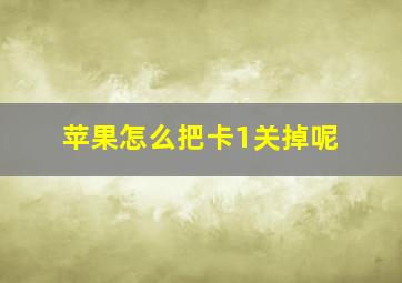 苹果怎么把卡1关掉呢