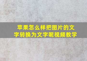 苹果怎么样把图片的文字转换为文字呢视频教学