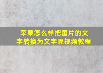 苹果怎么样把图片的文字转换为文字呢视频教程