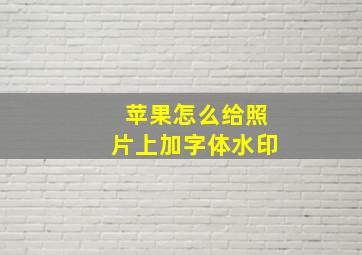 苹果怎么给照片上加字体水印