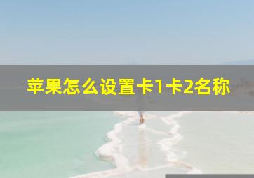 苹果怎么设置卡1卡2名称