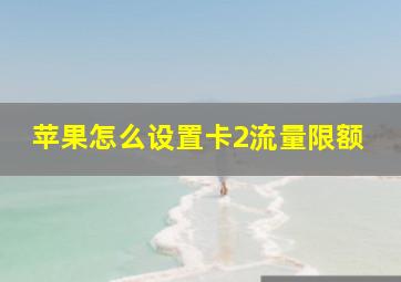 苹果怎么设置卡2流量限额