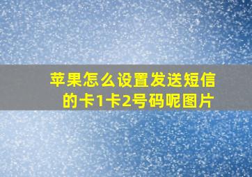 苹果怎么设置发送短信的卡1卡2号码呢图片