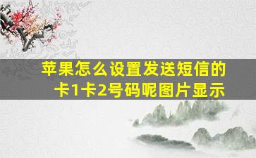 苹果怎么设置发送短信的卡1卡2号码呢图片显示