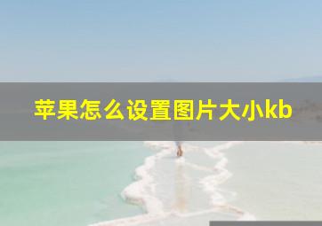 苹果怎么设置图片大小kb