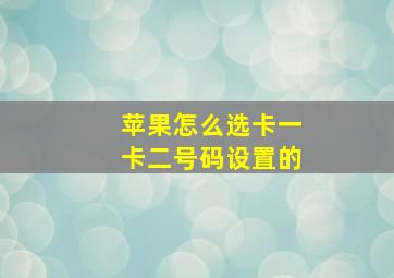 苹果怎么选卡一卡二号码设置的