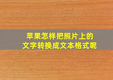 苹果怎样把照片上的文字转换成文本格式呢