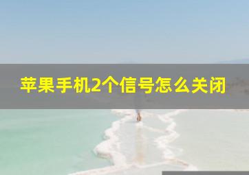 苹果手机2个信号怎么关闭