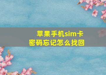 苹果手机sim卡密码忘记怎么找回