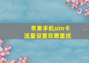 苹果手机sim卡流量设置在哪里找