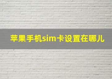 苹果手机sim卡设置在哪儿