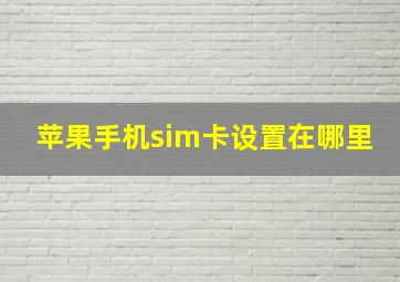 苹果手机sim卡设置在哪里