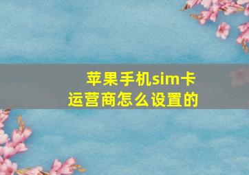 苹果手机sim卡运营商怎么设置的