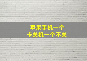 苹果手机一个卡关机一个不关