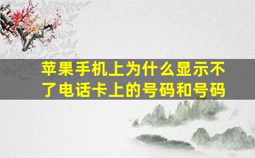 苹果手机上为什么显示不了电话卡上的号码和号码