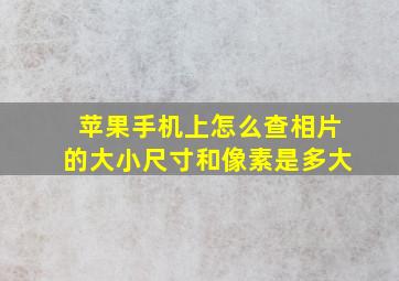 苹果手机上怎么查相片的大小尺寸和像素是多大