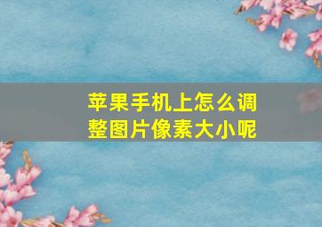 苹果手机上怎么调整图片像素大小呢