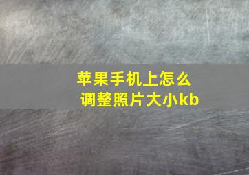 苹果手机上怎么调整照片大小kb