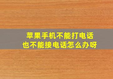 苹果手机不能打电话也不能接电话怎么办呀