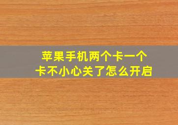 苹果手机两个卡一个卡不小心关了怎么开启