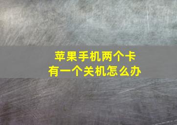 苹果手机两个卡有一个关机怎么办