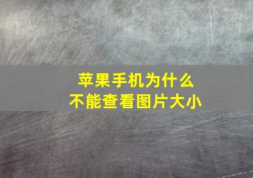 苹果手机为什么不能查看图片大小