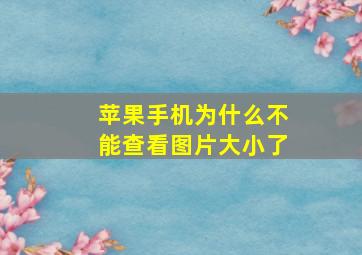 苹果手机为什么不能查看图片大小了